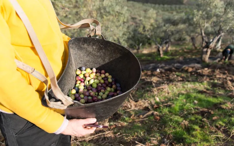 Productores ecológicos en Extremadura